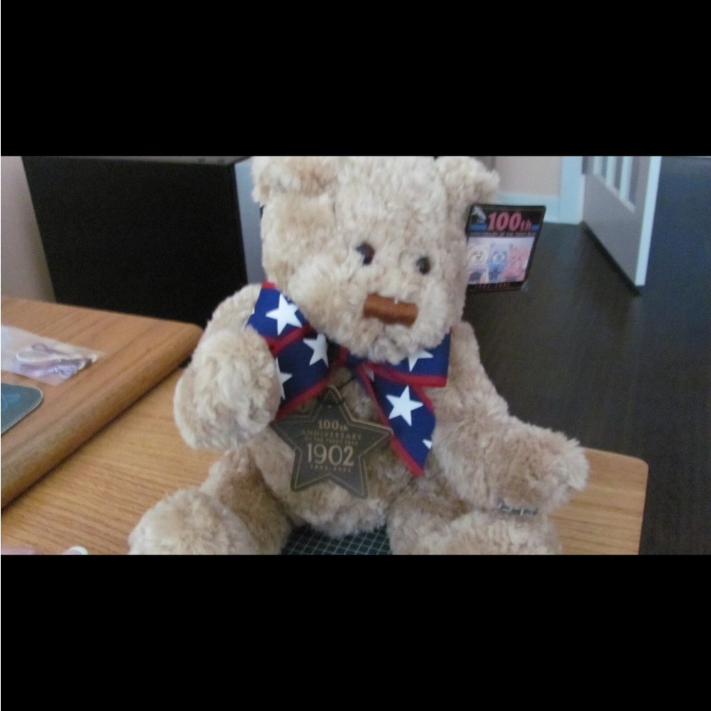 Gund 100th Anniversary 2002 Wish Bear nwt